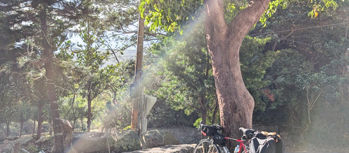 PXL_20250315_0105291172025